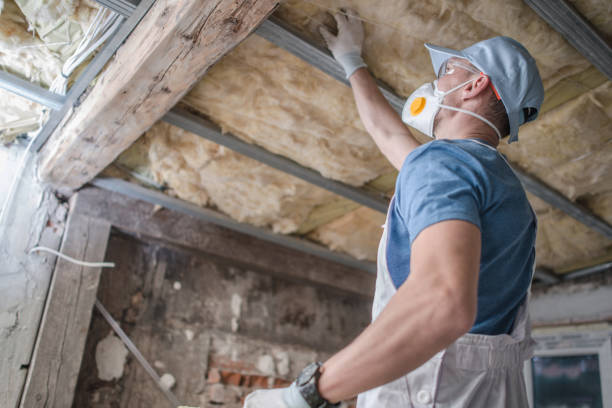 Best Insulation Maintenance and Repair in North Canton, OH